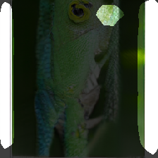 layer1-652