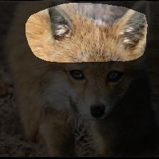 layer1-654