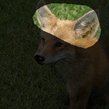 layer1-654