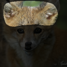 layer1-654