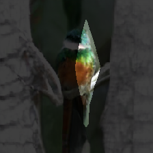 layer0-5