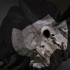 layer0-207