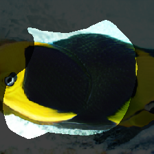 layer0-209