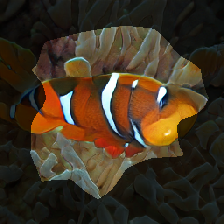 layer0-209