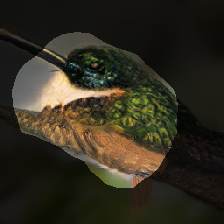 layer1-658