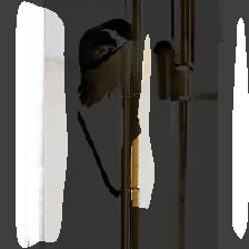 layer1-47