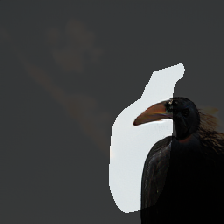 layer0-11