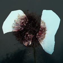 layer0-13