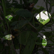 layer0-13