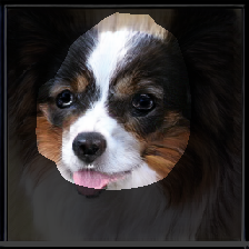 layer1-660