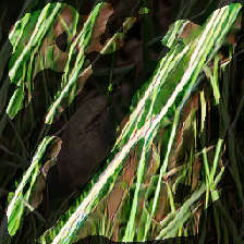 layer2-116