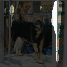 layer2-116