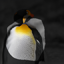 layer0-14