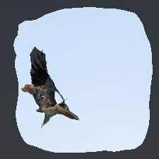 layer1-55