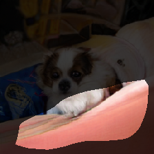 layer0-21