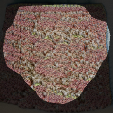 layer0-219