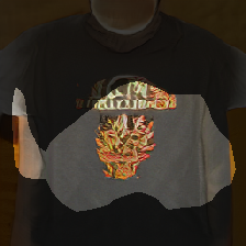 layer0-22