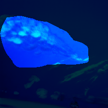 layer0-221