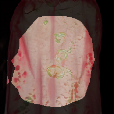 layer1-58