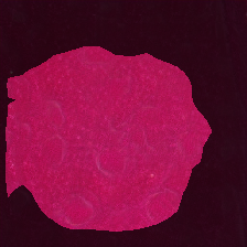 layer1-58