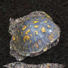layer1-61