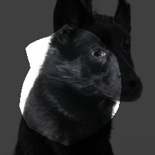 layer0-601