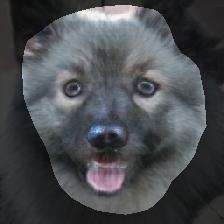 layer0-28
