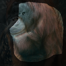 layer0-226