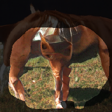 layer1-63