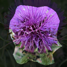 layer0-29