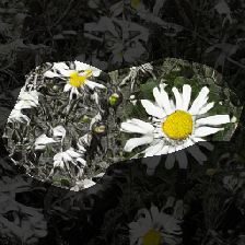 layer0-30