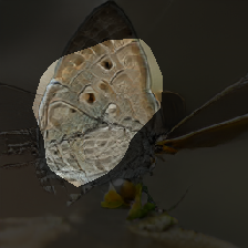 layer0-228