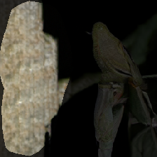 layer0-32