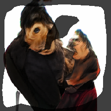 layer0-231