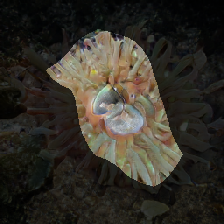 layer0-34