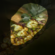layer0-34