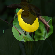 layer0-413