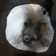 layer0-233