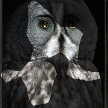 layer0-415