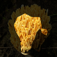 layer0-40