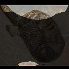 layer0-416