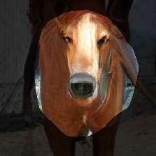 layer0-41