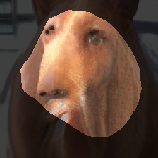 layer0-41