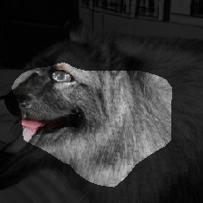 layer0-1208