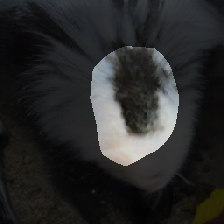 layer0-240