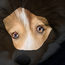 layer0-240