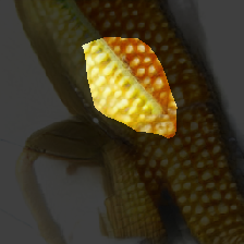 layer0-1001