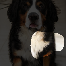 layer0-43