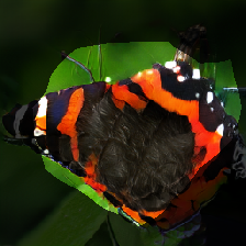 layer0-241
