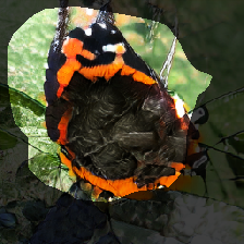 layer0-241